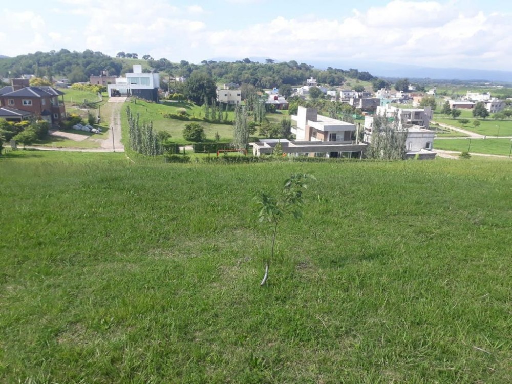 LOTES LOMA LINDA