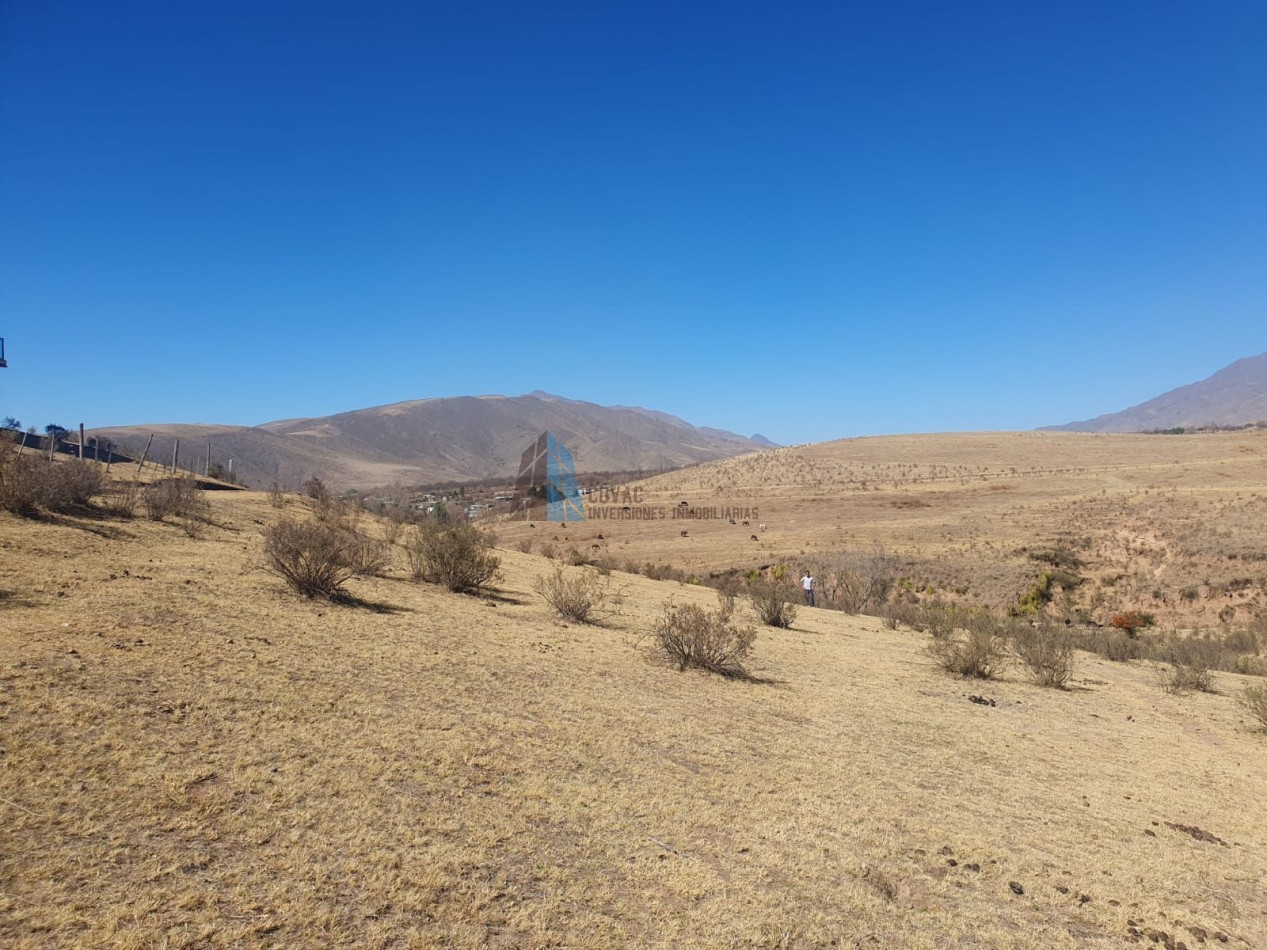 TERRENO EN LA OVEJERIA "TAFI DEL VALLE"