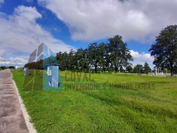 LOTES LAWN TENNIS COUNTRY