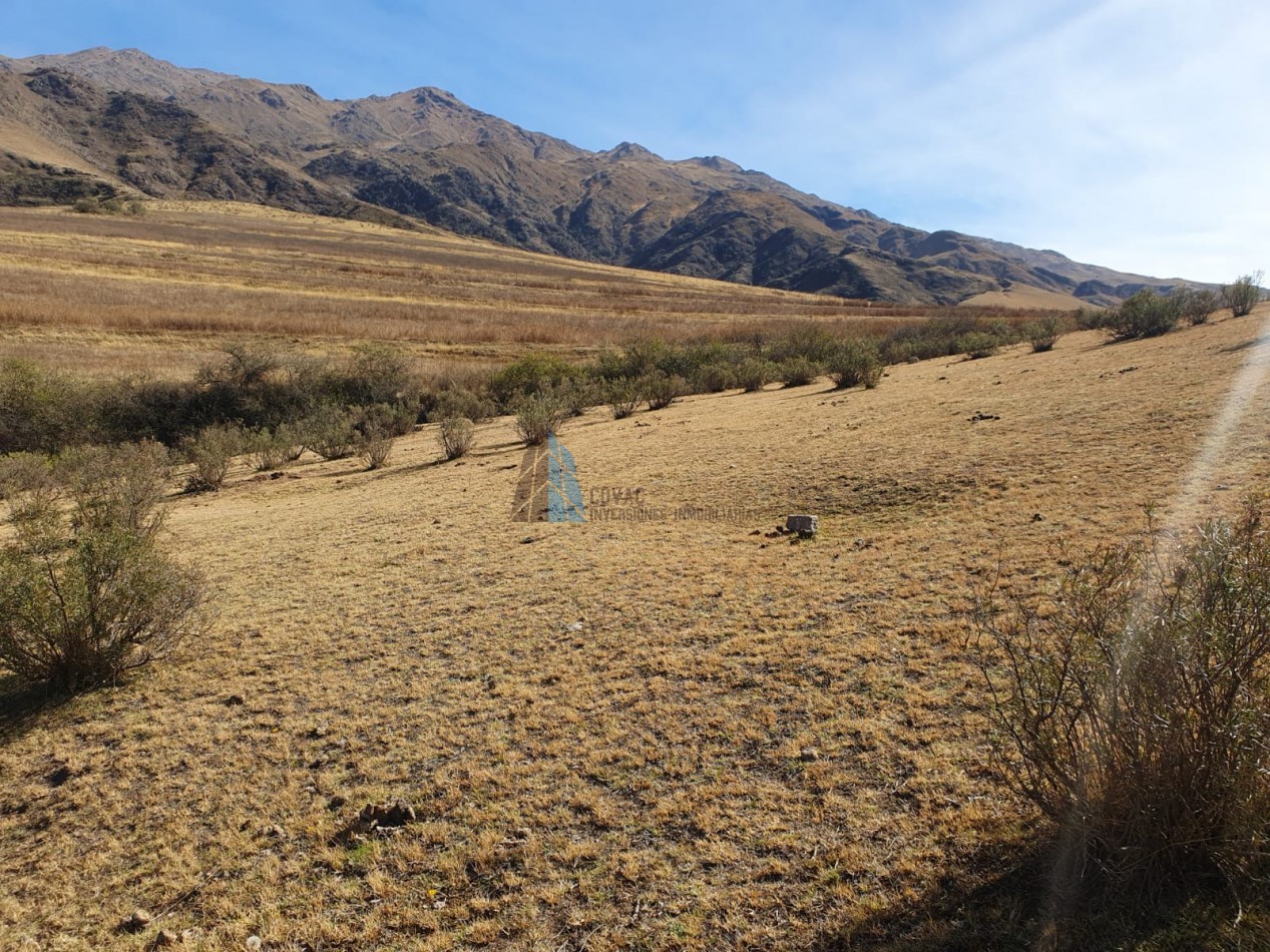 TERRENO EN LA OVEJERIA "TAFI DEL VALLE"
