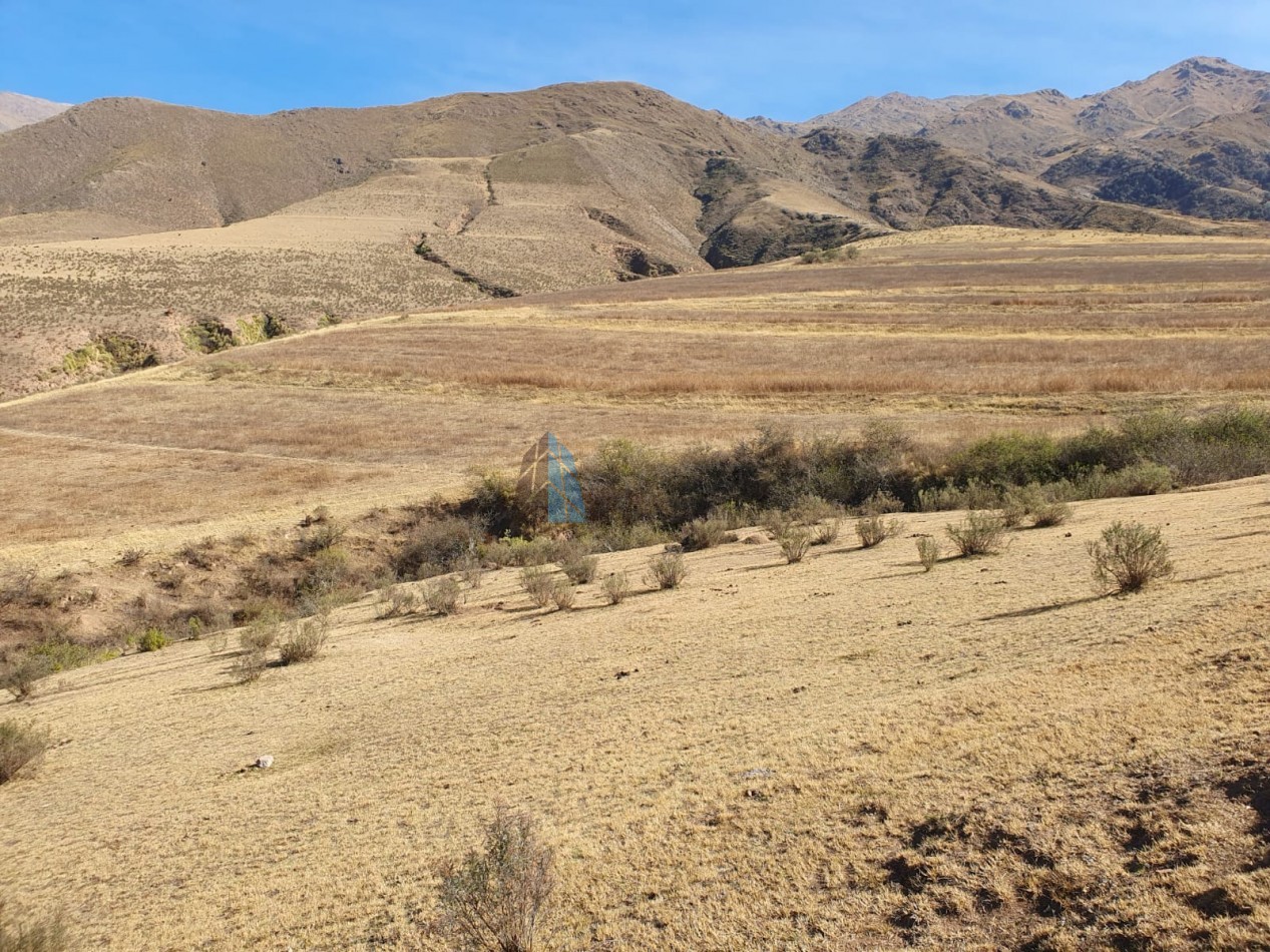 TERRENO EN LA OVEJERIA "TAFI DEL VALLE"
