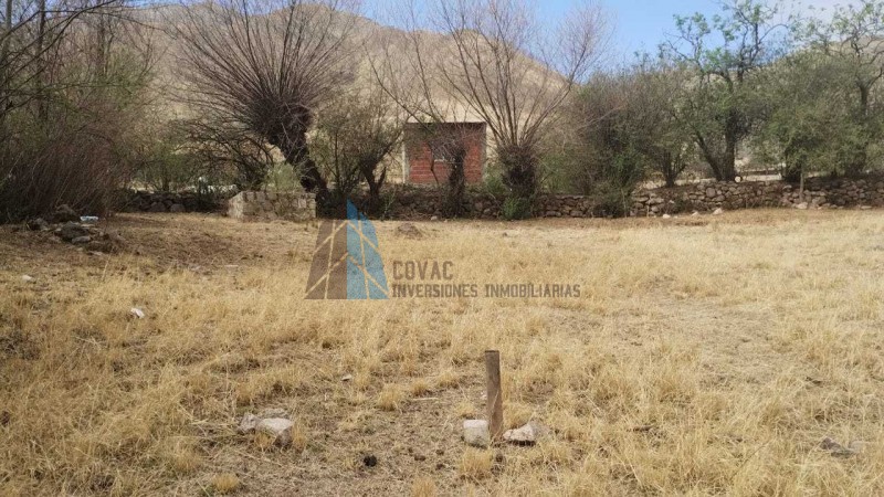 TERRENO EN "EL POTRERILLO", EL MOLLAR