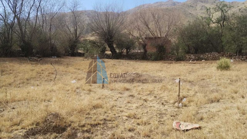 TERRENO EN "EL POTRERILLO", EL MOLLAR