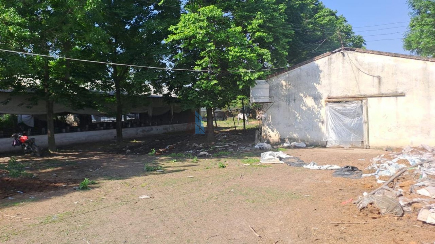 GRANJA AVICOLA