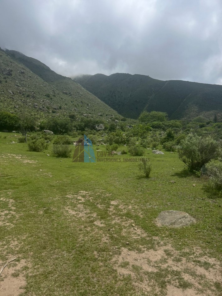 TERRENO EN EL MOLLAR