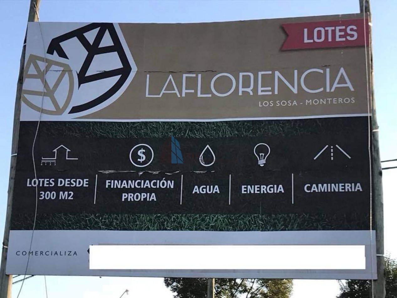LOTE LA FLORENCIA "LOS SOSA" - MONTEROS