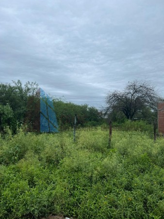 TERRENO EN TERMAS DE RIO HONDO