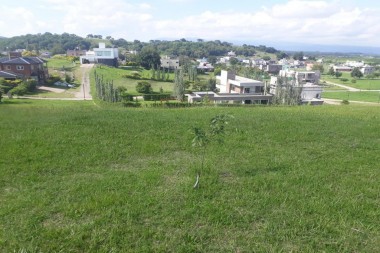 LOTES LOMA LINDA