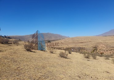TERRENO EN LA OVEJERIA "TAFI DEL VALLE"