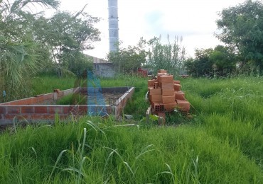 LOTE LOS CHAÑARITOS